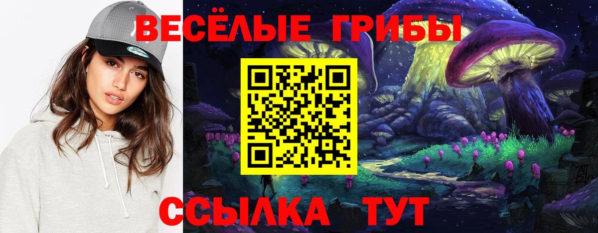 Владивосток  Псилоцибиновые грибы Psilocybe  Вход с VPN 