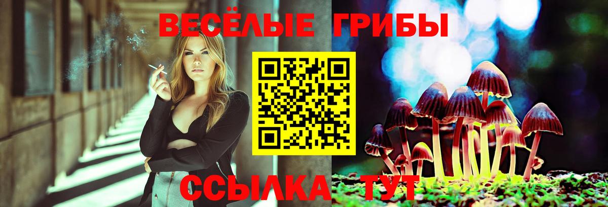 Псилоцибиновые грибы MAGIC MUSHROOMS Владивосток
